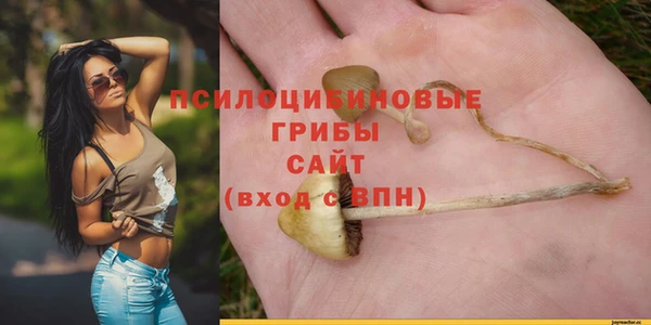 бошки Михайловка