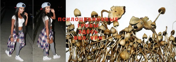 бошки Михайловка